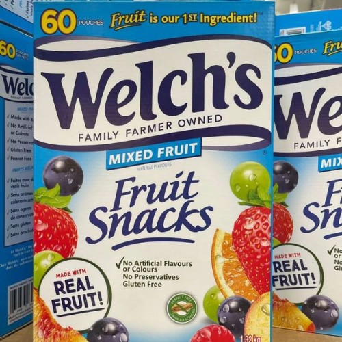 🇨🇦 Welch’s Fruut Snacks 60 x 22g