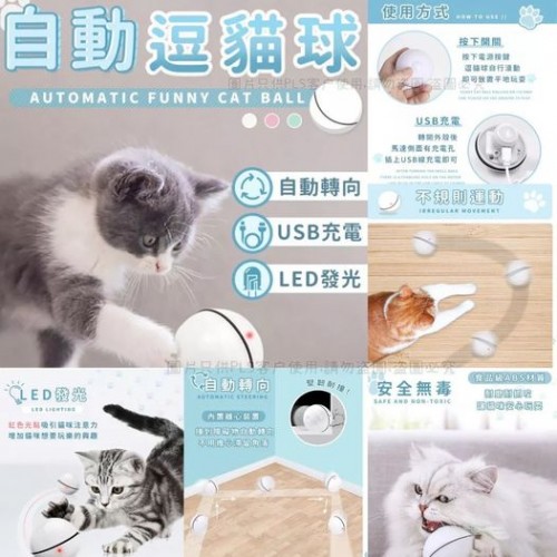 🐹自動逗貓球🏀